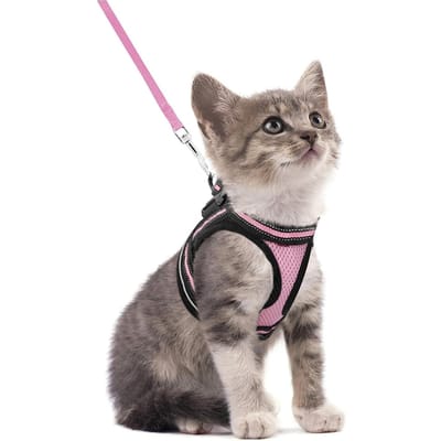 Katentuigje en Lijn Set Voor Wandelen Ontsnappingsbestendig, Verstelbaar Zacht Kittens Vest Met Reflecterende Strip Voor Katten, Comfortabel Buiten (Pink,S) roze