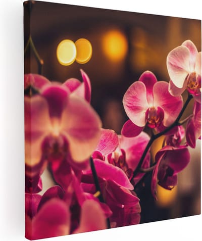 Artaza Canvas Schilderij Orchidee - 80x80 cm - Wanddecoratie Bloemen - Muurdecoratie Bloemen - Schilderijen Op Canvas