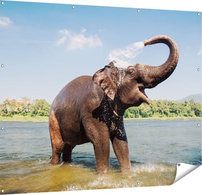 Gards Tuinposter Vrolijke Olifant in het Water - 150x120 cm - Tuindoek - Tuindecoratie - Wanddecoratie buiten - Tuinschilderij