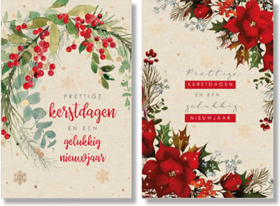 MGPcards - 2 doosjes à 10 Luxe dubbele wenskaarten - Kerst/Nieuwjaar - Foliebewerking - Witte envelop - 10.5 x 16 cm - 2 Motieven per doosje