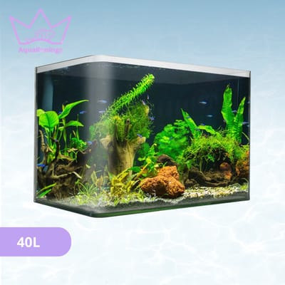 AquaKonings – Aquarium – Aquarium met afgeronde hoeken - Open Aquarium - Aquariumkit 50x27x30 40L