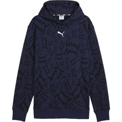 Puma Teamjaws Post Game Hoody Blauw K04