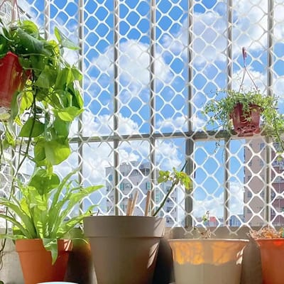 Veiligheidsnet Balkon - Kippengaas Hek - Dieren Binnenhouden - Zeshoekig Mesh Ontwerp - 100x200cm - Wit