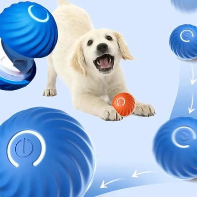 Interactief Kattenspeeltje: Zelfrollende en Springende Bal voor Katten en Honden - Oplaadbaar - Blauw