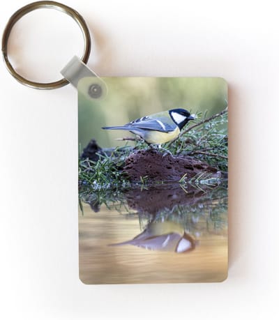 Sleutelhanger - Een koolmees zittend bij het water en het gras - Uitdeelcadeautjes - Plastic