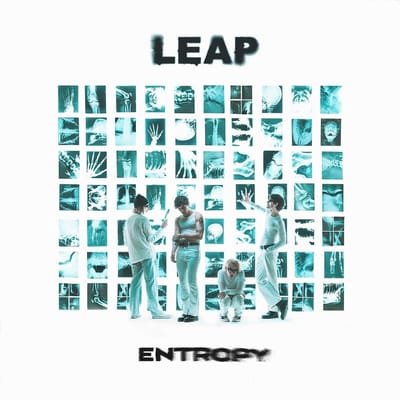 Leap - Entropy (LP)