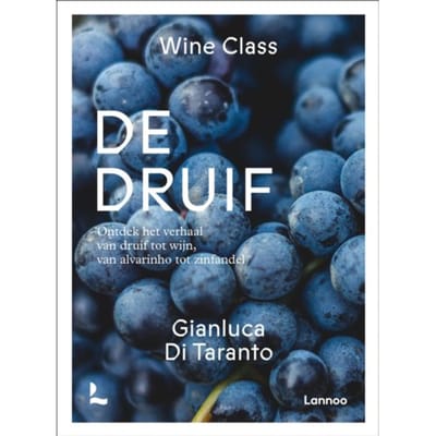 De Druif - Wine Class - Gianluca Di Taranto