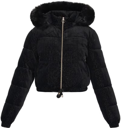 taddy jacket