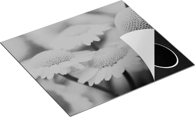 Chefcare Inductie Beschermer Gele Kamille Bloemen - Zwart Wit - 60x50 cm - Afdekplaat Inductie - Kookplaat Beschermer - Inductie Mat
