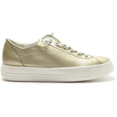 Paul Green 4081