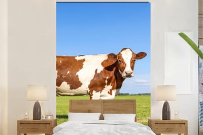 Behang - Fotobehang Koeien - Boerderij - Gras- Natuur - Dieren - Breedte 200 cm x hoogte 300 cm
