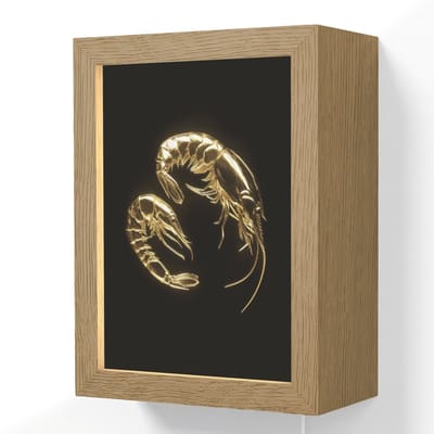 Wandlamp 15x20 cm - Oplaadbaar - Garnalen - Zwart - Goud - Dieren - Wandlampen binnen woonkamer - Slaapkamer lamp met kabel - Decoratieve nachtlamp - Vloerlamp snoer