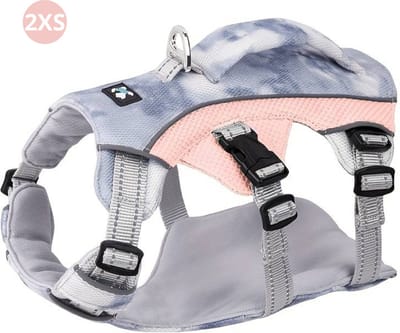 Bovista Koelvest Hond - Koelvesten - Verkoeling - Honden Kleding - Hondenkleding - Duurzaam - Roze - Maat XXS
