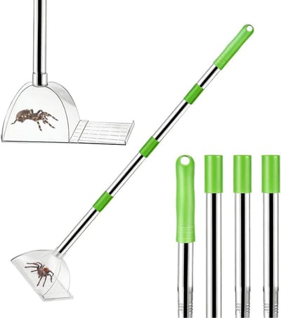 Hoornaar Val - Hoornaarval Aziatische - Insectenvanger - Plastic/Staal - Contactloze Catcher - Transparant Ontwerp - Voor Binnen en Buiten