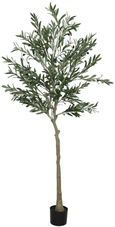 Innovastore Kunst Olijfboom - Kunstplant - Plant - Onderhoudsvrij - Duurzaam & Veilig - Thuis en Kantoor - Binnen - Groen - 180cm