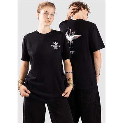adidas Skateboarding X Temple Of Skate Crane T-Shirt zwart