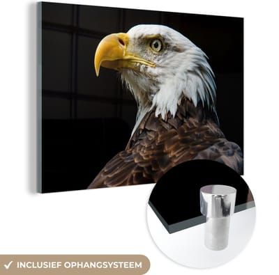 MuchoWow® Glasschilderij 120x80 cm - Schilderij acrylglas - Adelaar - Vogel - Ogen - Snavel - Foto op glas - Schilderijen