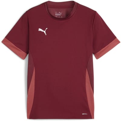 Puma TeamGoal wedstrijdshirt voor kinderen jr 705748