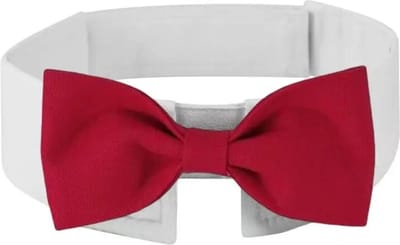 Luxe hondenstrik met wit boord en rode strik maat L - honden dasstrik - hond - strik - rood - huisdier