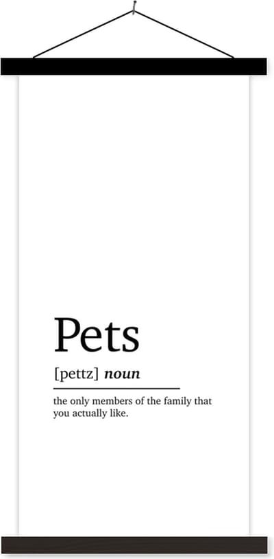 Posterhanger incl. Poster 40x80 cm - Schoolplaat - Pets - Quotes - Spreuken - Woordenboek - Huisdieren definitie - Textielposter - Zwarte latten