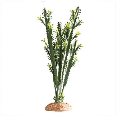 Hobby Terrano Euphorbia kunstcactus voor terrarium | maat M en L Maat L