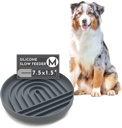 Daity Voerbak van siliconen voor langzame voeding - voor honden en puppy's - modern likkussenontwerp om slikken te verminderen - 19 cm B x 3 -8 cm H - uitdagingen bij het eten - middelgrijs