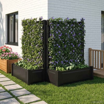 vidaXL Grand bac avec treille 2 pcs Anthracite 143 x 143 x 133,5 cm PP