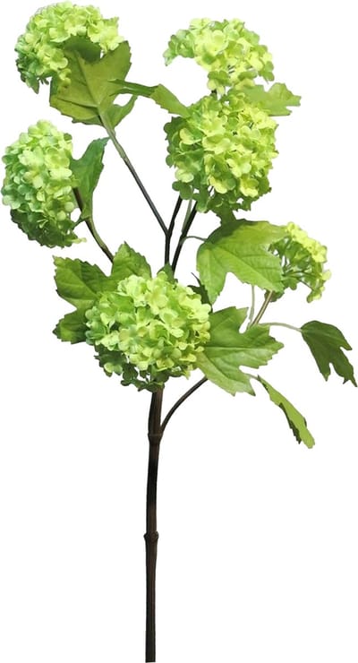 Bellatio Design Kunstbloem Viburnum / sneeuwbal Roseum - 60 cm - groen - losse steel - kunst zijdebloemen