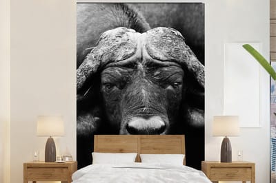 Behang - Fotobehang Dieren - Buffalo - Zwart - Wit - Portret - Breedte 180 cm x hoogte 280 cm