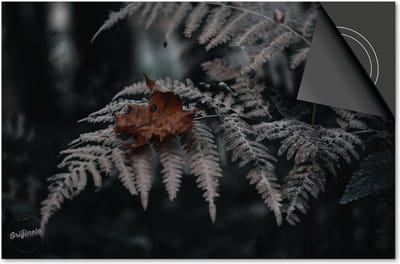 Inductie beschermer 60x60 - afdekplaat inductie mat - Dietrix Kookplaat beschermer - Exclusief - Herfst - Herfsttak koel