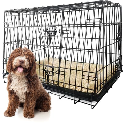MaxxPet Hondenbench - Autobench - Transportbench - Opvouwbaar - Bench Voor Honden - 93x68x70cm - Zwart - Incl. Plaid