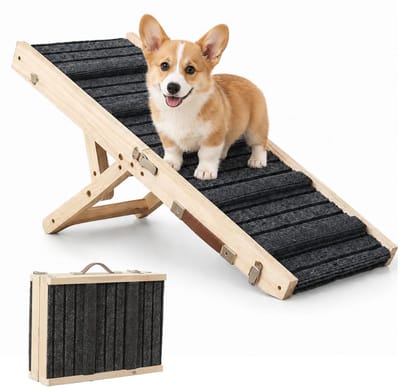 Dailygoods - Hondentrap voor Kleine Honden | Antislip en Verstelbaar voor Bank en Auto