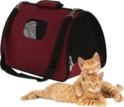 Huisdier Draagtas - Reismand Kat Puppy - Huisdier Vervoeren - Ademend Gaas Ontwerp - 43 x 25 x 25 cm