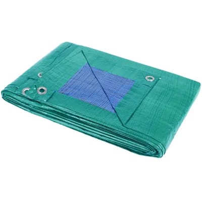 Sencys Afdekzeil Polyethyleen Groen/blauw 2x8m