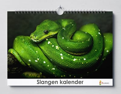 Slangen kalender 35x24 cm | Slangen verjaardagskalender |Slangen wandkalender| Kalender 35 x 24 cm