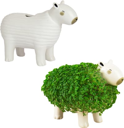 Gift Republic Plantenpot met chiazaden - Capybara