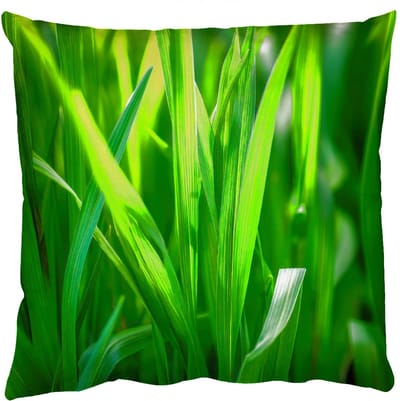 Sierkussens - Kussentjes Woonkamer - 50x50 cm - Grassprieten - Lichtinval - Groen