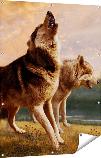 Gards Tuinposter Twee Wolven op het Gras - 90x120 cm - Tuindoek - Tuindecoratie - Wanddecoratie buiten - Tuinschilderij