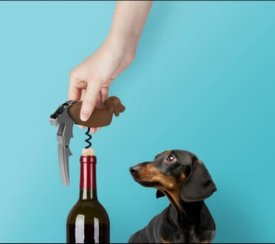 Kurkentrekker Teckel - Fles Opener - Corkscrew - Hond - Wijnopener - Luxe - Winer Dog - Wijn Accessoires