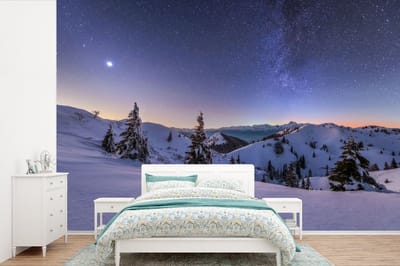 Behang - Fotobehang Winter - Sneeuw - Nacht - Bomen - Breedte 525 cm x hoogte 350 cm