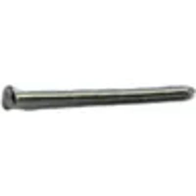 Sencys Siernagels Met Ronde Kop Messing 1,2x24mm - 50 Stuks