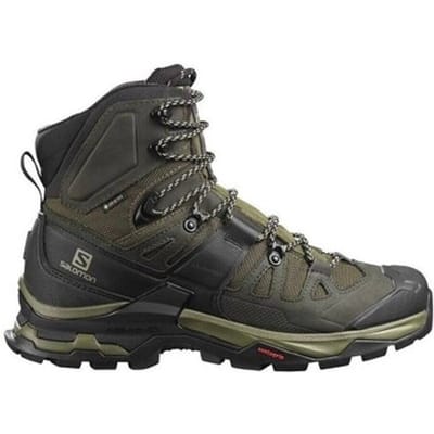 Wandelschoenen Salomon Quest 4D 4 Gtx