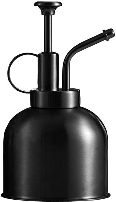Plantensproeier - Metalen roestvrijstalen plantensproeier - Kleine gieter - Plantensproeier - met bovenpomp - voor binnenluchtplanten, vetplanten, tuindecoratie buiten (matzwart)