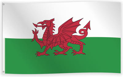Vlag Wales 90 x 150 cm