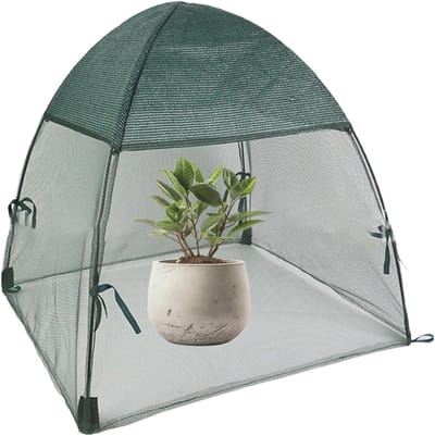Tomatenkas - Kleine plantenkas - Planten beschermen - Verlengt groeiseizoen - 56 x 56 x 56 cm - Transparant