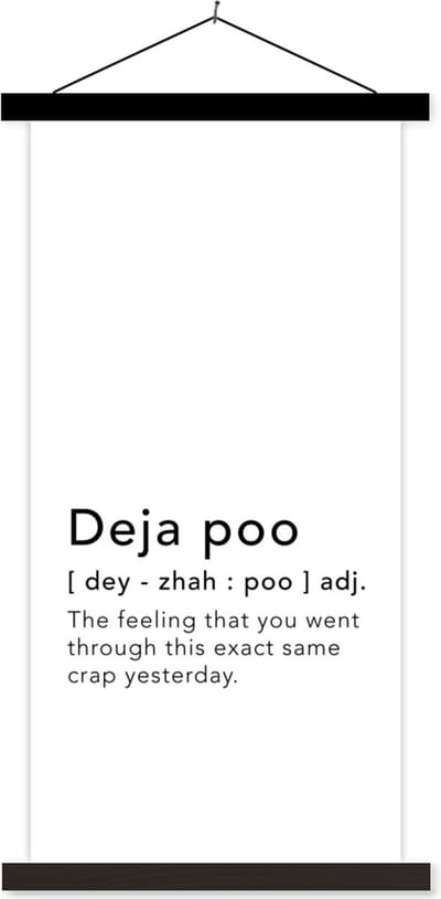 Posterhanger incl. Poster 40x80 cm - Schoolplaat - Spreuken - Quotes - The feeling that you went through this exact same crap yesterday - Deja poo - Textielposter - Zwarte latten