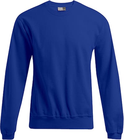 Promodoro Men´s New Sweater 80/20 E2199N - Royal - S