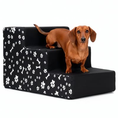 Springos Hondentrap - Hondenloopplank - 3 Hellingen - Opstapje - Voor Grote en Kleine Honden - Zwart - 30 Cm