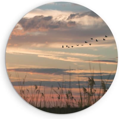 Saammp Muurcirkel Hout -Vogels tijdens Golden hour - Zonsondergang - Landschap - Natuur - Ø 90 - Wandcirkel - Wanddecoratie Cirkel - Muurdecoratie Woonkamer - Slaapkamer decoratie - Rond Schilderij