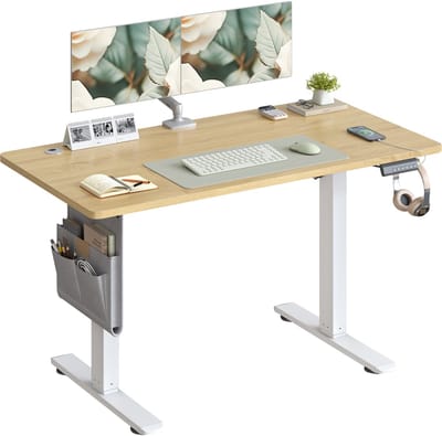 SONGMICS - In Hoogte Zit Sta Bureau - 120 x 60 cm - Met Memoryfunctie en USB-C Poort